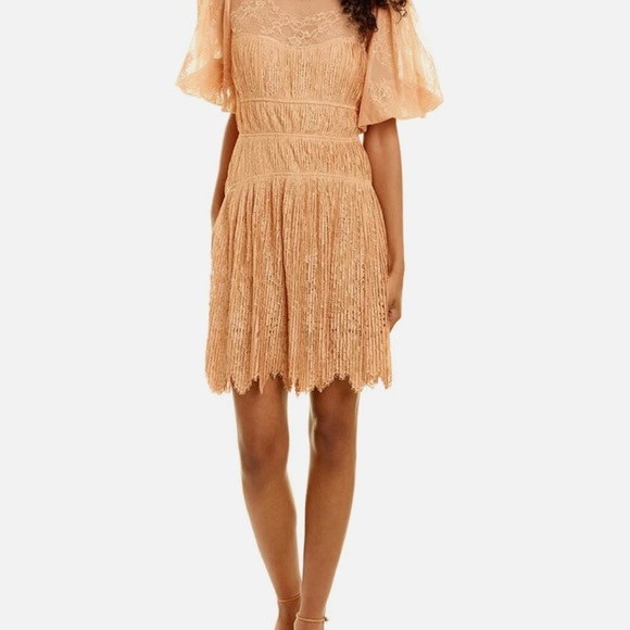 Jonathan Simkhai Bristol Mini Dress Bristol Mini Dress In Butterscotch - Picture 13 of 16